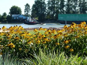 terra - Planter growing media