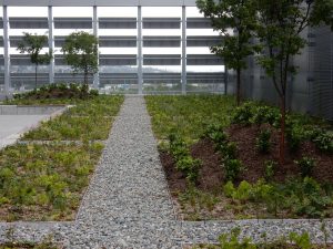 tierraLITE - Green Roof Growing Media