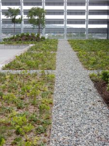 tierraLITE - Green Roof Growing Media