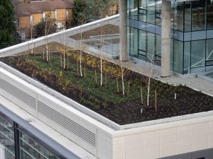 tierraLITE - Green Roof Growing Media