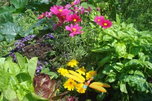 urbanGRO growing media or organic or urban farming