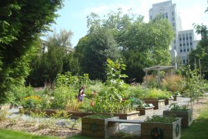 urbanGRO growing media or organic or urban farming