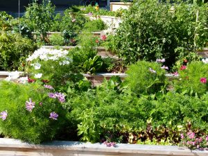 urbanGRO growing media or organic or urban farming