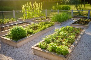 urbanGRO growing media or organic or urban farming