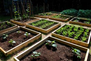 urbanGRO - web - garden boxes