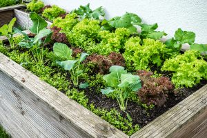 Raised garden planters
