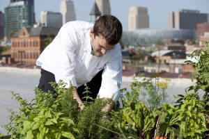 urbanGRO growing media or organic or urban farming