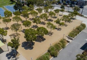 Virginia Park