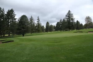 Landscape soil restoration in Abbotsford