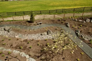 Abbotsford landscaping